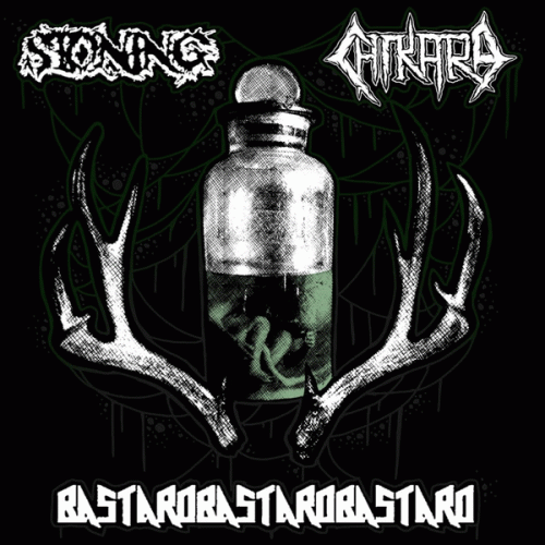 Chikara : Stoning - Chikara - BastardBastardBastard